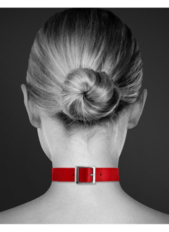 Collier en cuir rouge SM avec anneau métal argenté pour laisse - CC6060010030